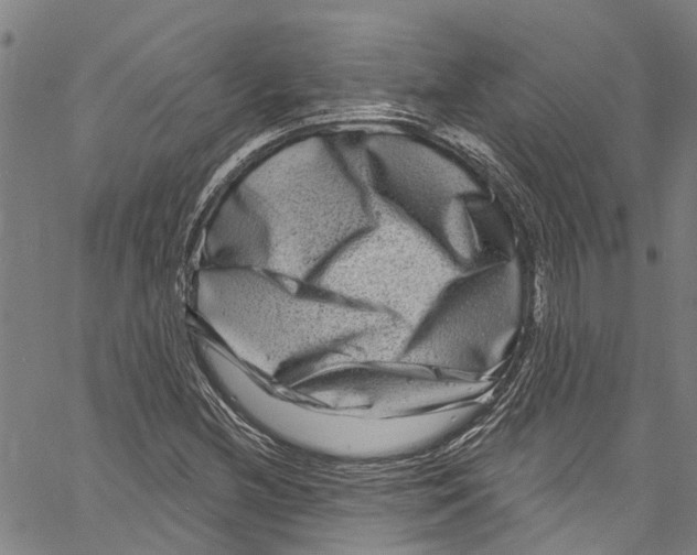 X0000061151212200512161547