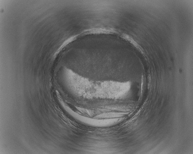 X0000061151213200512161547