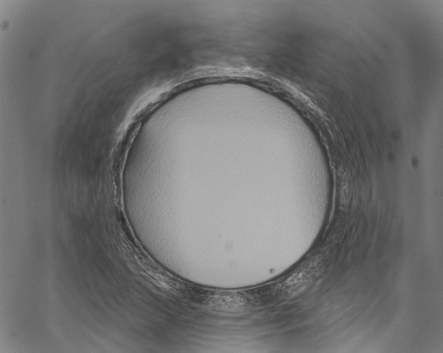 X0000061151215200512161547