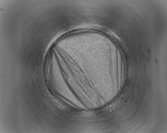 X0000061151216200512161547