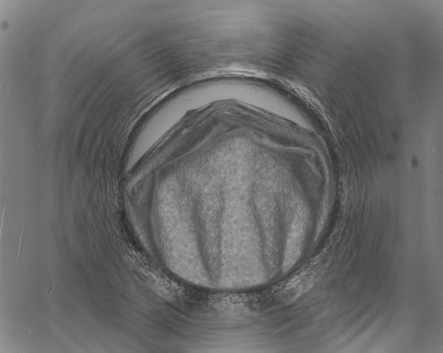 X0000061151217200512161547