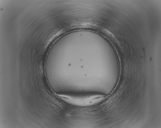 X0000061151218200512161547