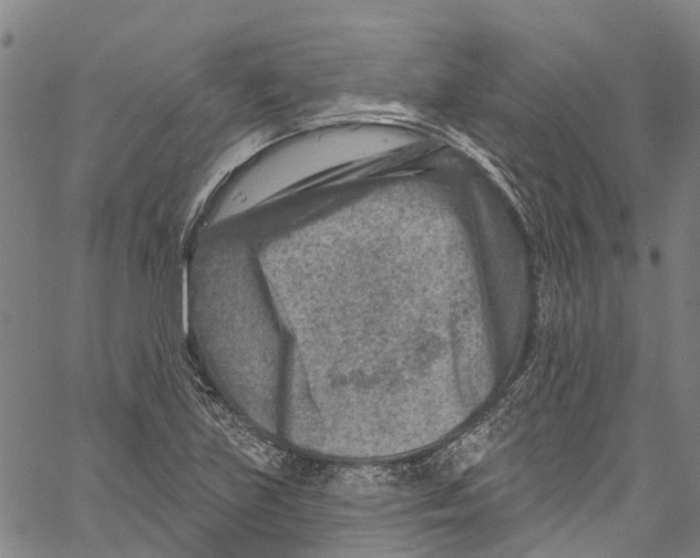 X0000061151219200512161547