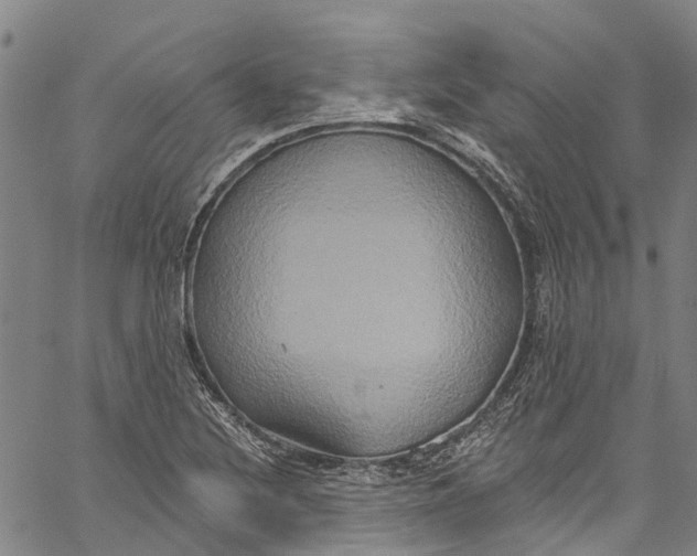 X0000061151220200512161547