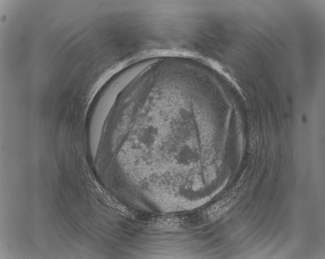 X0000061151221200512161547