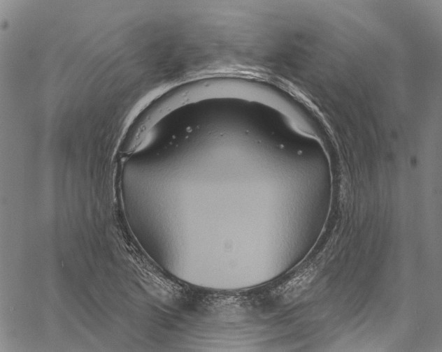 X0000061151222200512161547