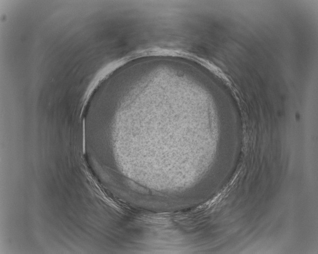 X0000061151223200512161547