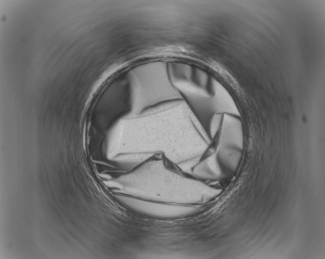 X0000061151224200512161547