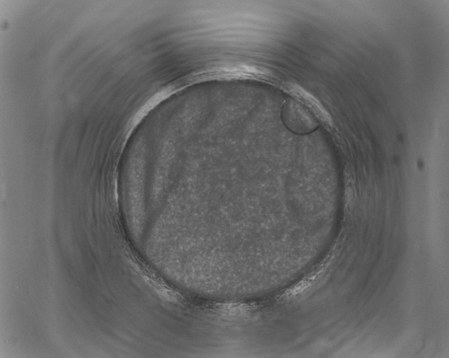 X0000061151226200512161547