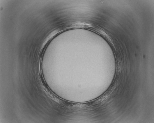 X0000061151227200512161547