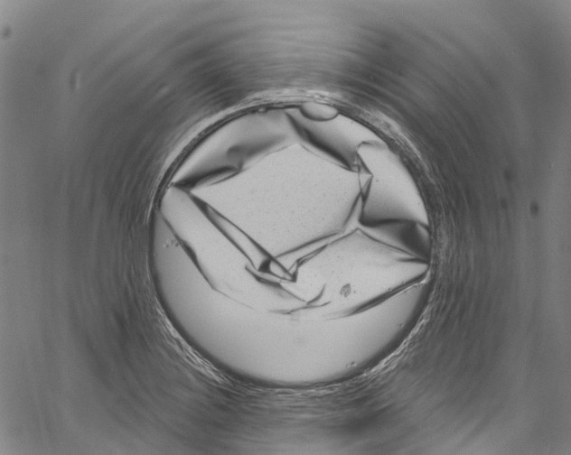 X0000061151228200512161547