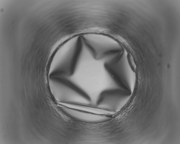 X0000061151230200512161547