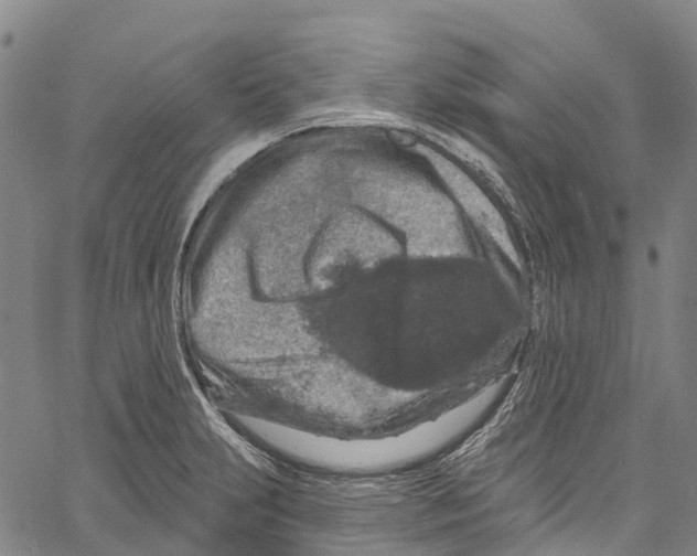 X0000061151231200512161547