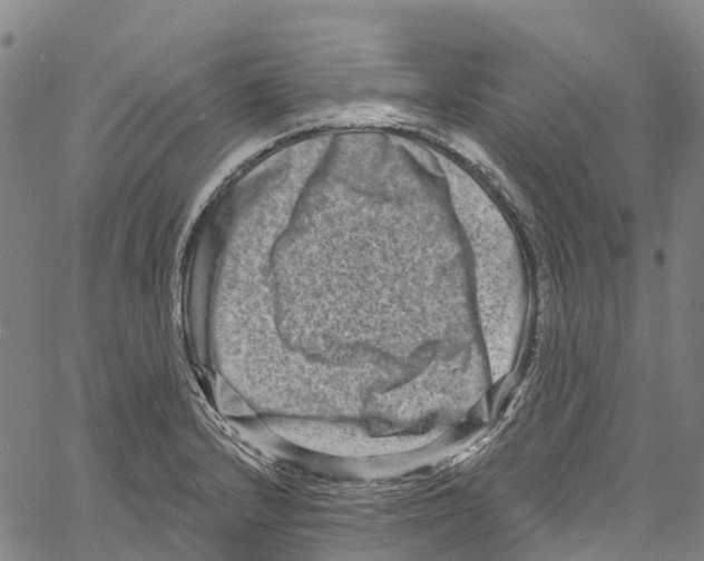 X0000061151232200512161547