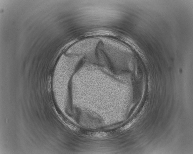 X0000061151233200512161547