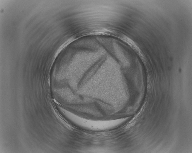 X0000061151234200512161547