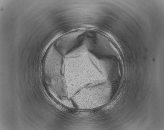 X0000061151235200512161547