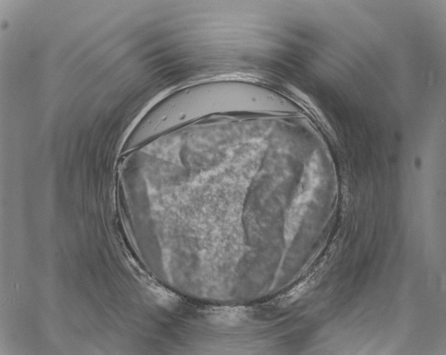 X0000061151236200512161547