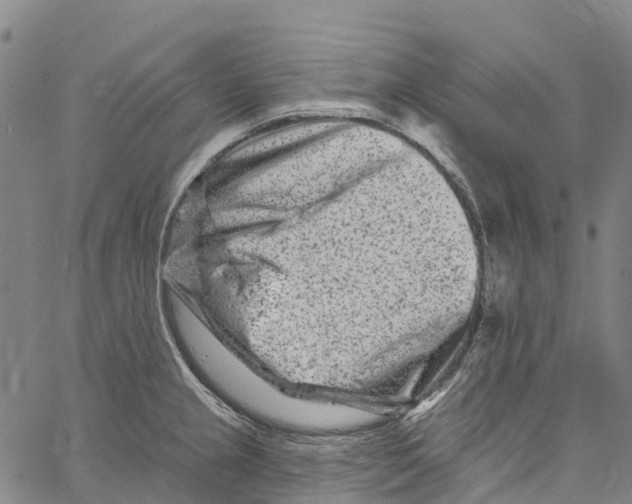 X0000061151237200512161547