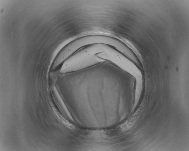 X0000061151238200512161547