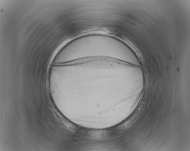 X0000061151240200512161547