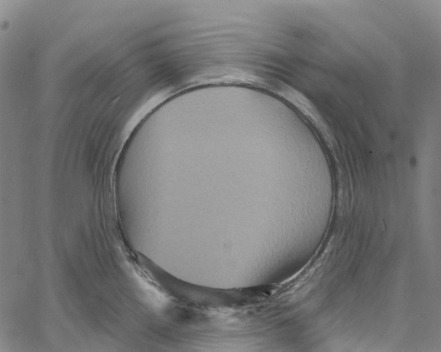 X0000061151242200512161547