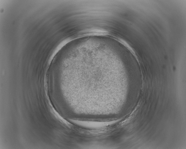 X0000061151243200512161547