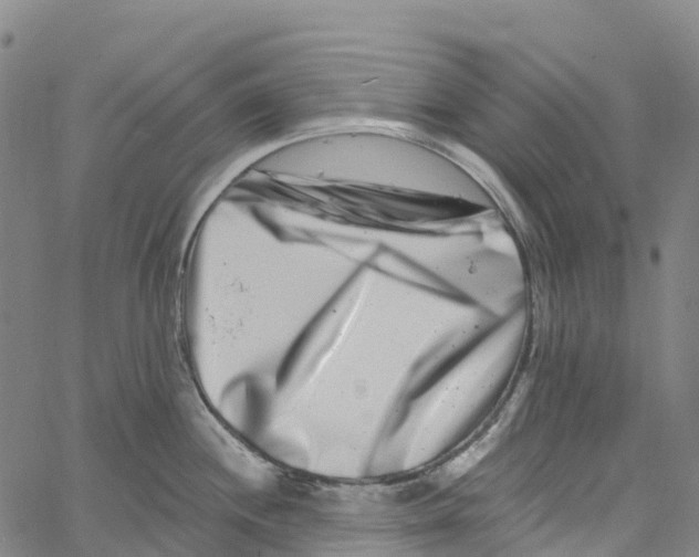 X0000061151244200512161547