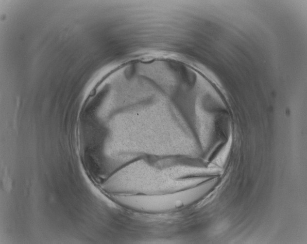 X0000061151247200512161547