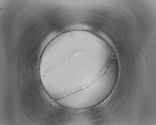 X0000061151248200512161547