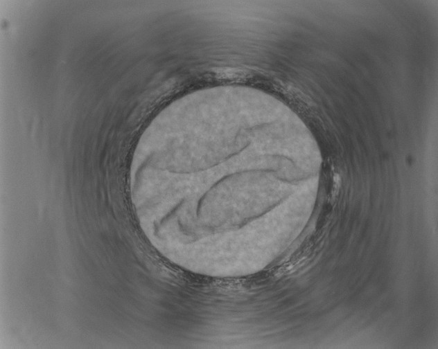 X0000061151249200512161546