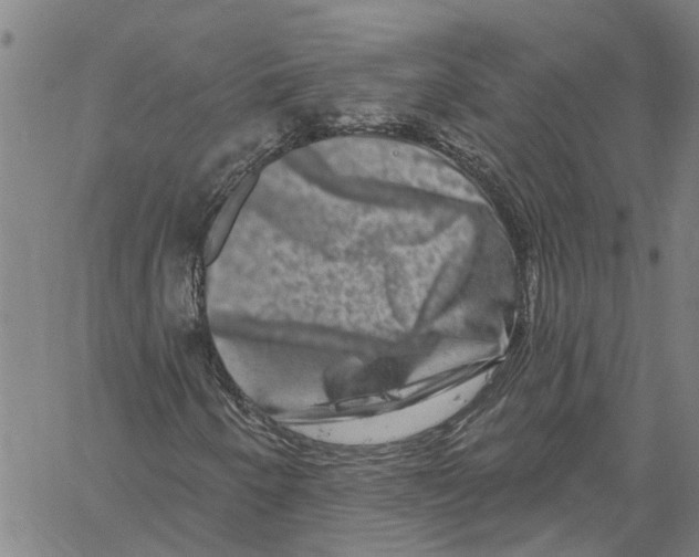 X0000061151250200512161546