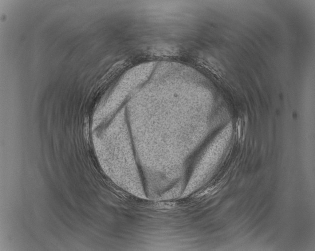 X0000061151251200512161546