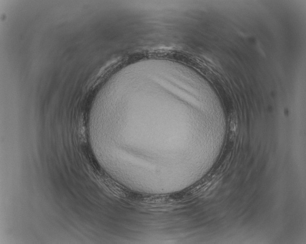 X0000061151252200512161546