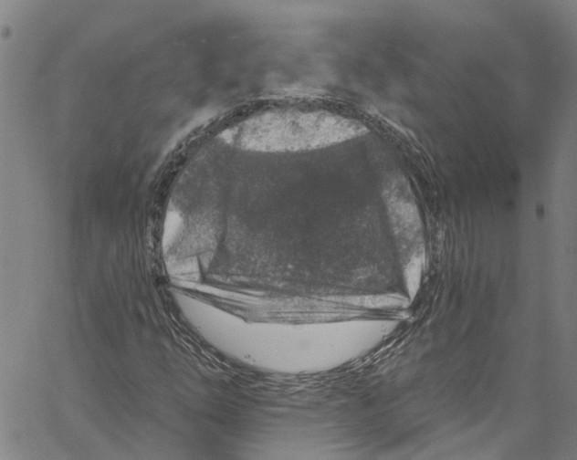 X0000061151254200512161546