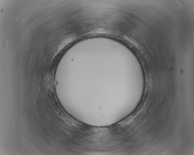 X0000061151258200512161546