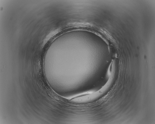 X0000061151261200512161546