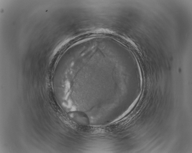 X0000061151263200512161546