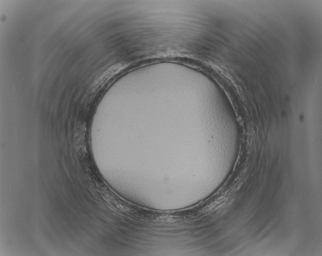 X0000061151265200512161546