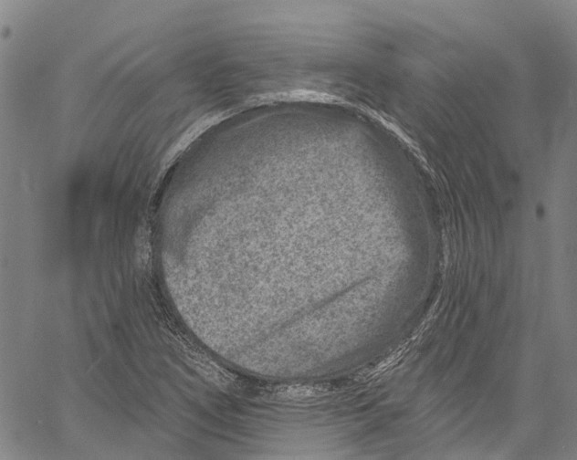 X0000061151266200512161546