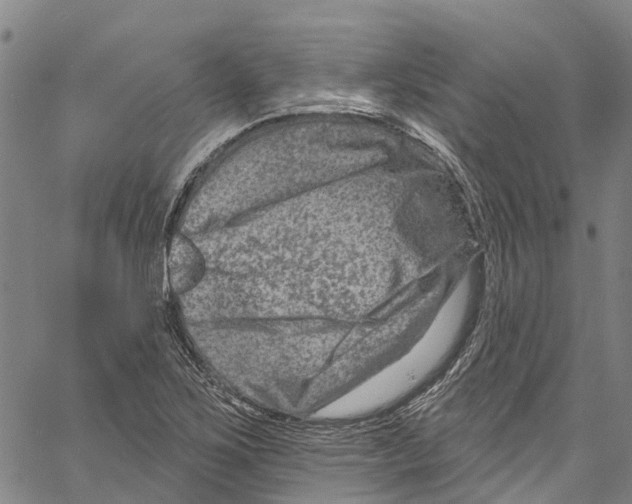 X0000061151267200512161546