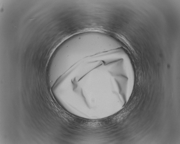 X0000061151268200512161546