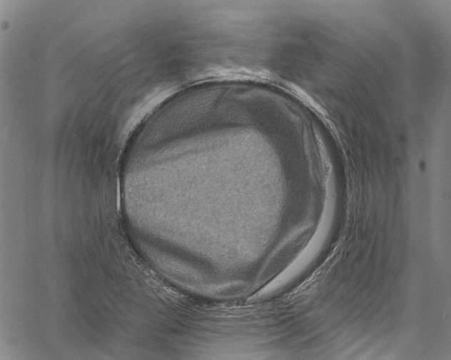 X0000061151269200512161546