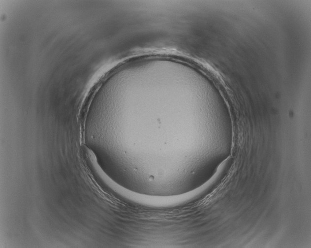 X0000061151271200512161546