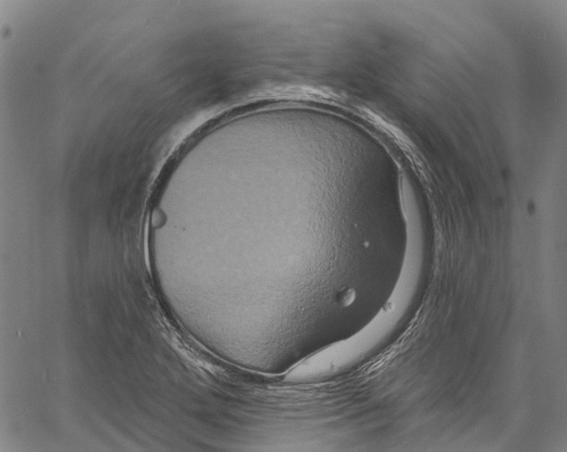 X0000061151272200512161546