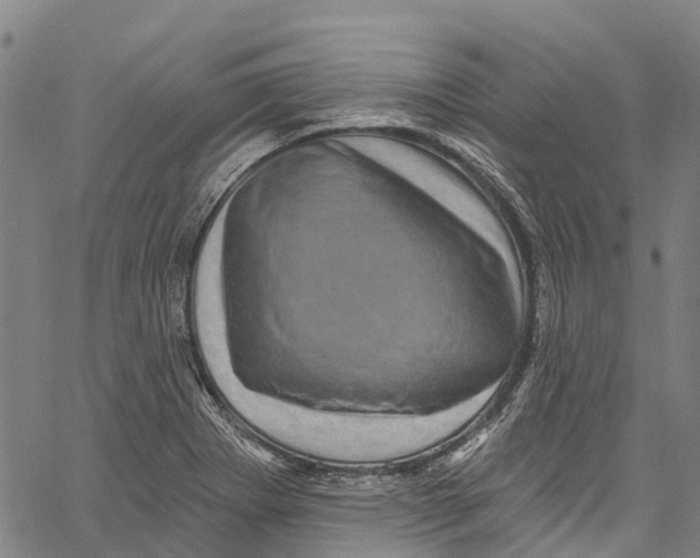 X0000061151273200512161546