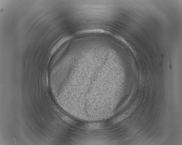 X0000061151274200512161546