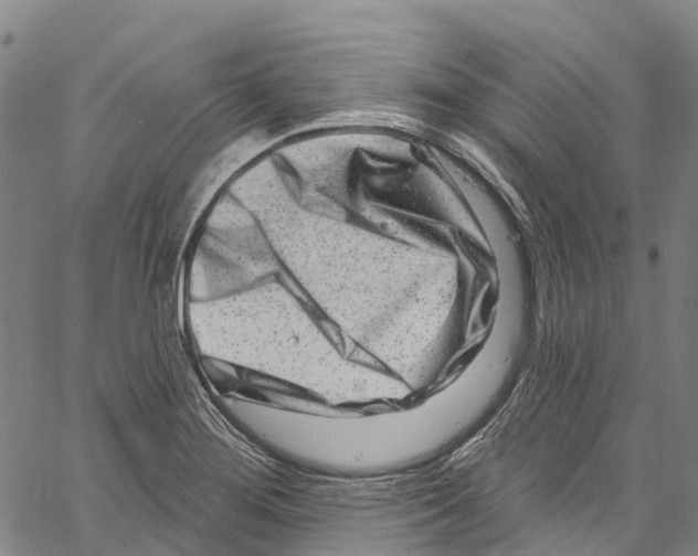 X0000061151276200512161546