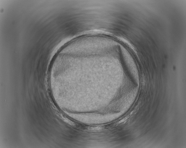 X0000061151278200512161546