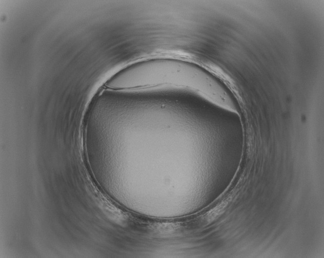 X0000061151280200512161546